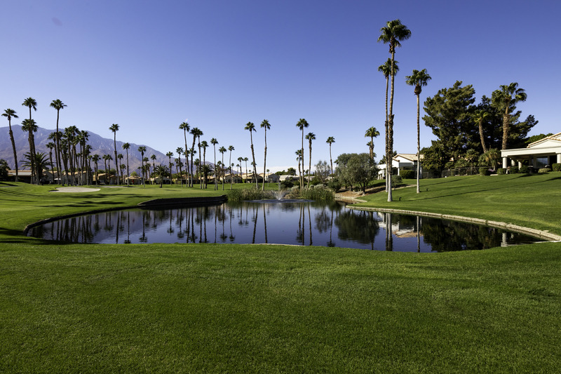 Golf course view from 3/3 Palm Springs rental